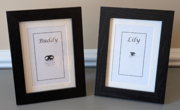Framed ink nose print