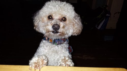 20131113 205222 OriginalMoco