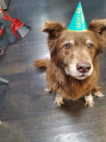 20231111 202628rocket