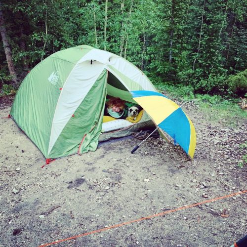 E396354B-4B94-4B79-846F-C761626B5393