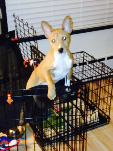 FullSizeRender-1sebastian