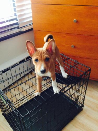 FullSizeRender-3sebastian