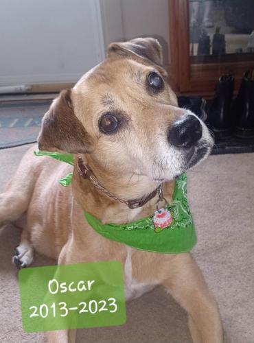 Oscar2