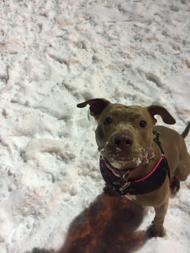 fiona-in-the-snow